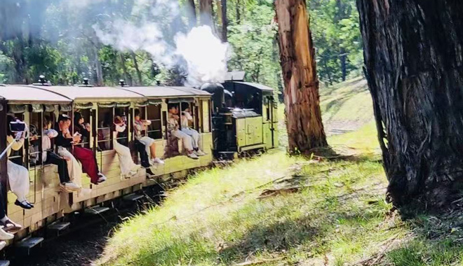 puffing billy 0552