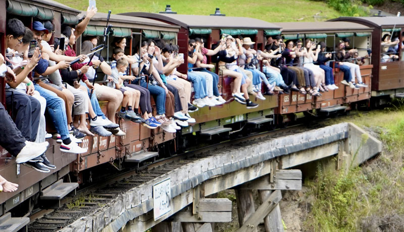 puffing billy 2026 W210