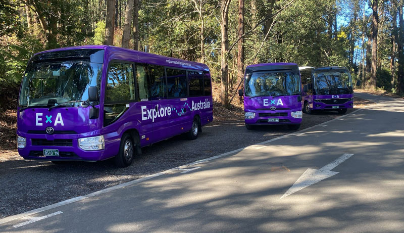 puffing billy explore au tour 007