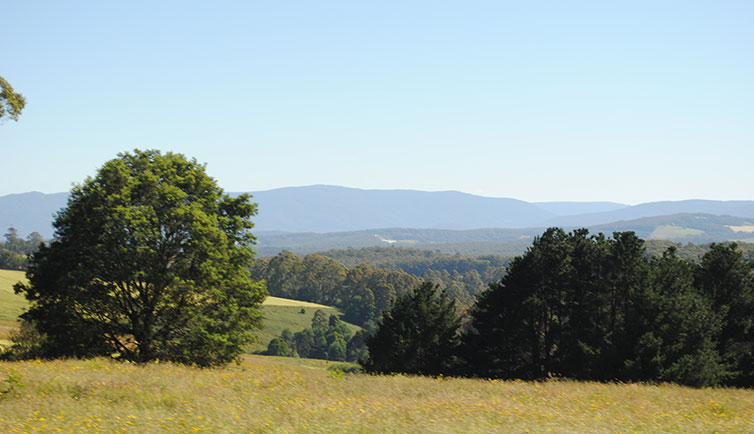 puffingbillyrailway jenny 2026 8