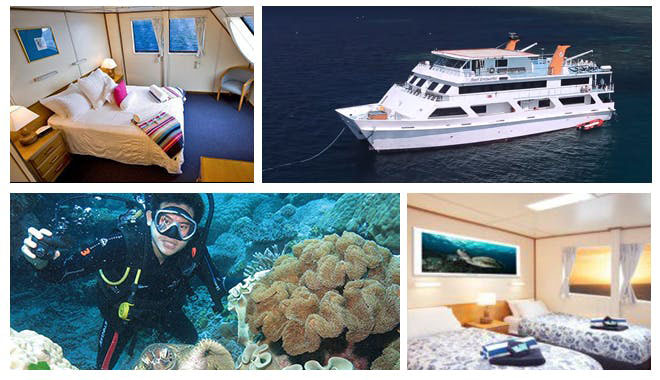 reef encounter 2 day cove