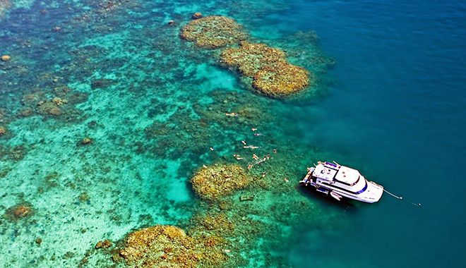 reef experience 7