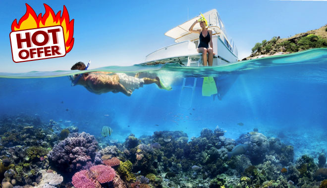 reef magic 660 x 380