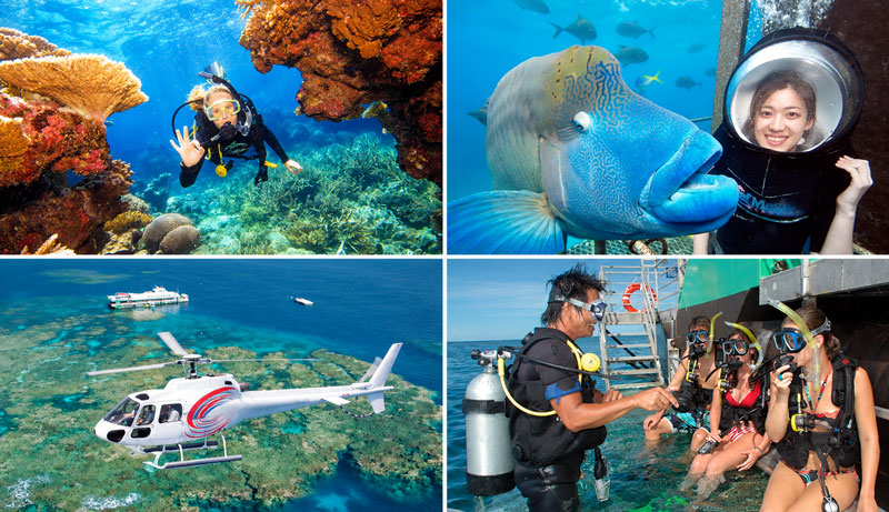 reef magic options