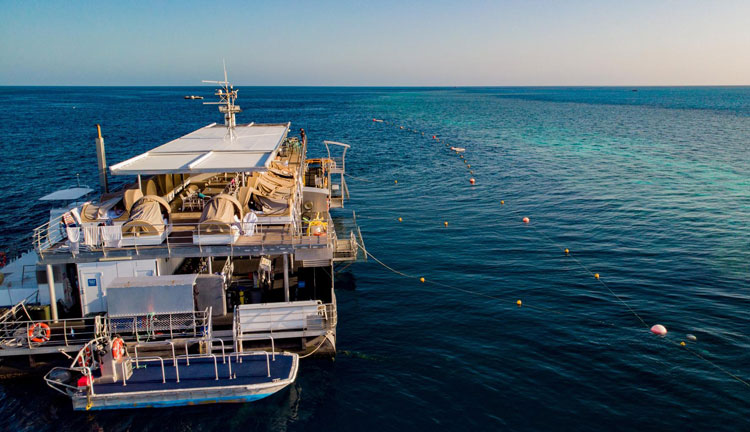 reef sleep sunset 551