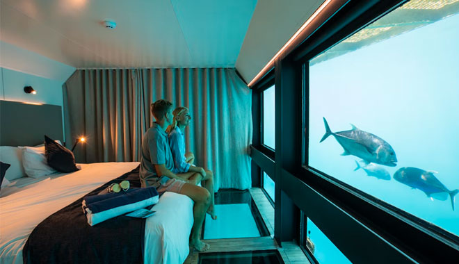 reef suite