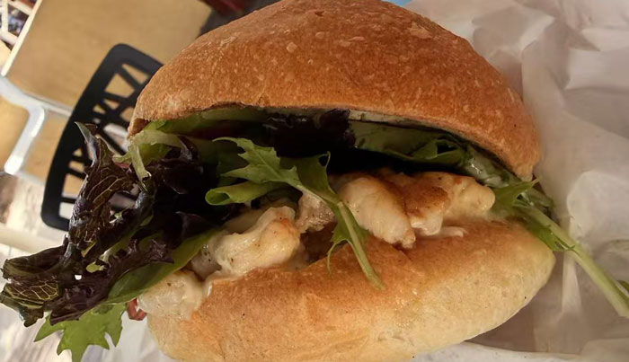 rottnest craydog 5516