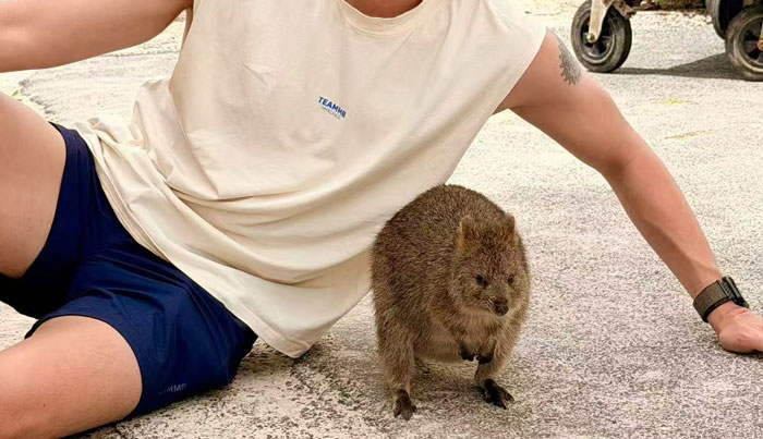 rottnest fast ferry animal 2026 B