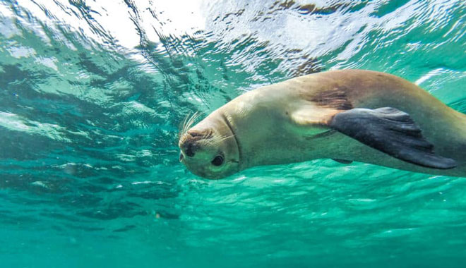 s Adelaide to Perth camping tour  4