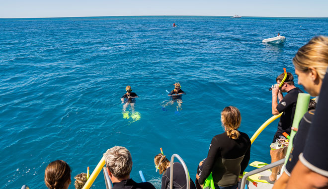 sail snorkel whitehaven3