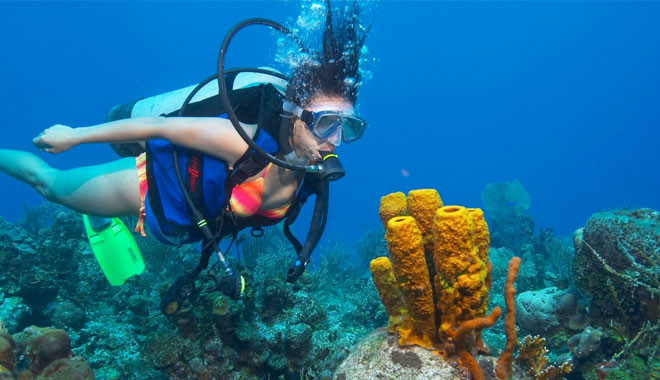 scuba diving 3