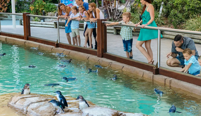 sea world W001