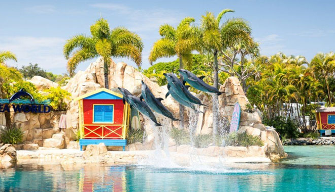 sea world cover