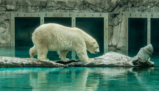 seaworld 12 1