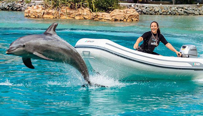 seaworld 2
