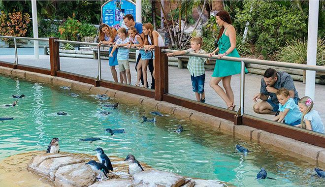 seaworld 4 1