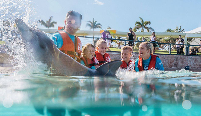 seaworld 6