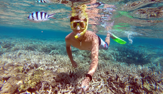 DCIM103GOPRO
