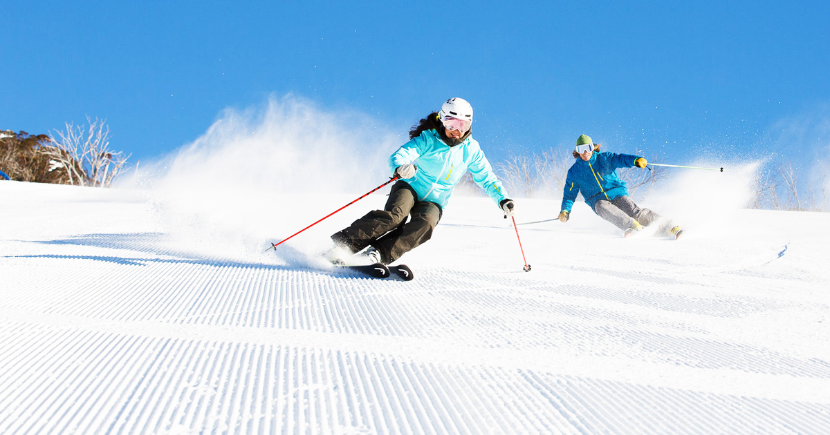 Bluebird Groomers