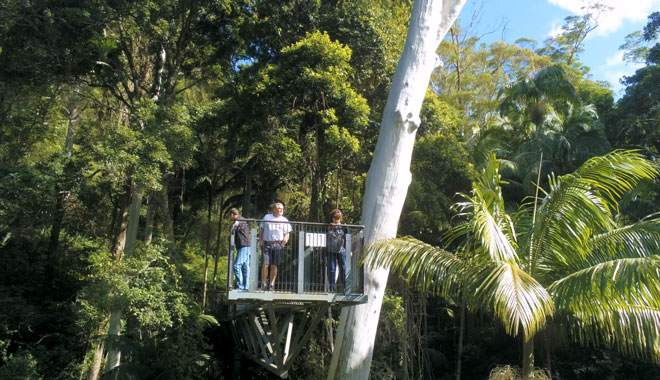 skywalk mt tamborine 001