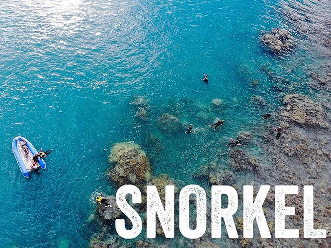 snorkel jpg