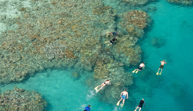 snorkel whitsundays explore group