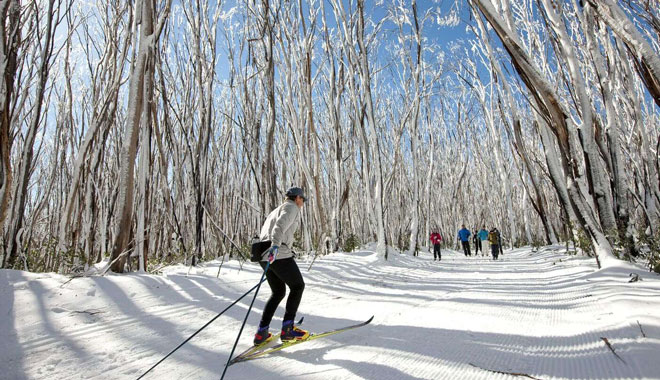 snowy mountains day tours