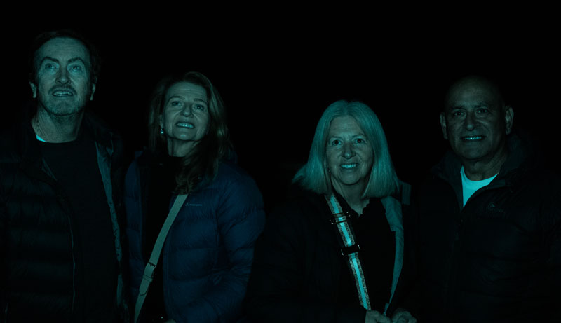 southern cross Glow Worm 007