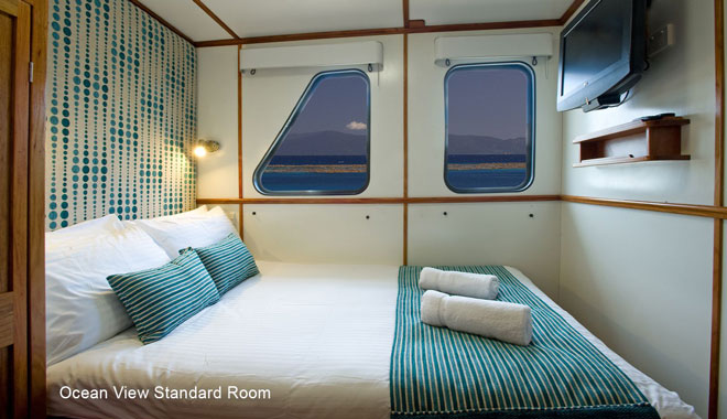 spirit of freedom liveaboard trip 4 night coral sea ribbon reef trip cairns2