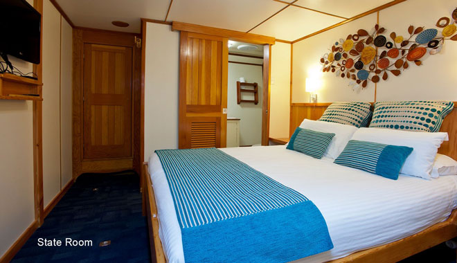 spirit of freedom liveaboard trip 4 night coral sea ribbon reef trip cairns3