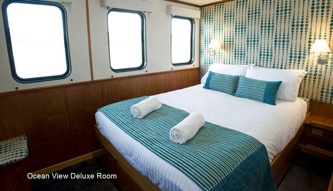 spirit of freedom liveaboard trip 4 night coral sea ribbon reef trip cairns4