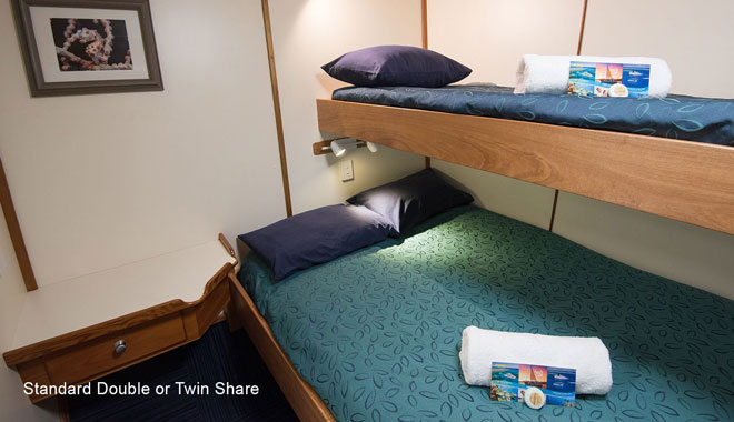 spirit of freedom liveaboard trip 4 night coral sea ribbon reef trip cairns5