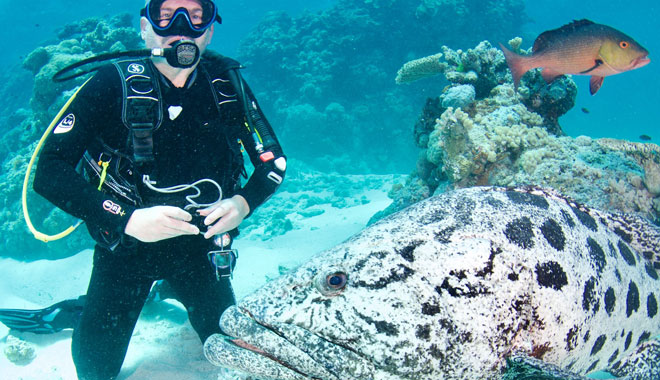 spirit of freedom liveaboard trip 4 night coral sea ribbon reef trip cairns6