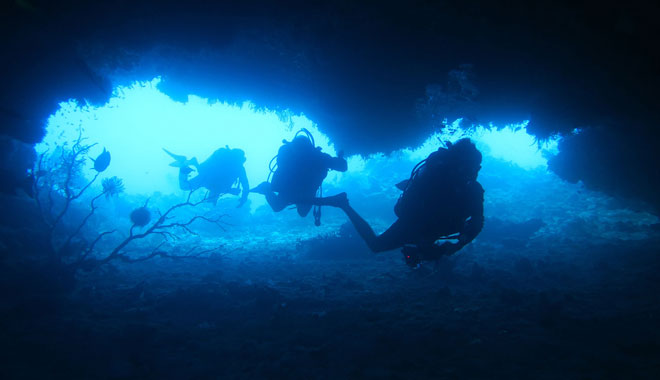 spirit of freedom liveaboard trip 4 night coral sea ribbon reef trip cairns7