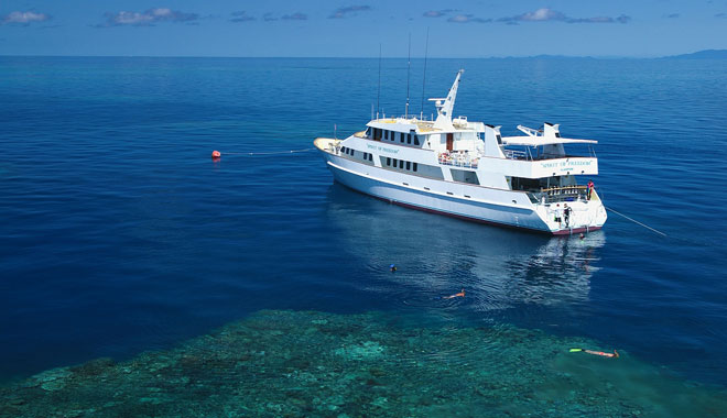 spirit of freedom liveaboard trip 4 night coral sea ribbon reef trip cairns8