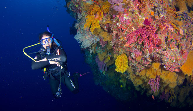 spirit of freedom liveaboard trip 4 night coral sea ribbon reef trip cairns9