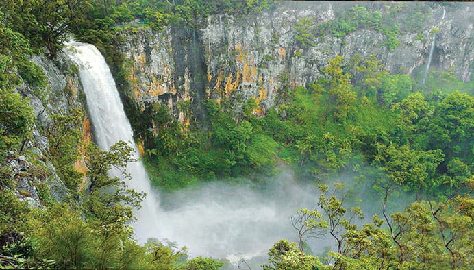 springbrook natural bridge 6 jpg
