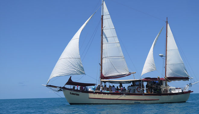 summertime day trip sail 4