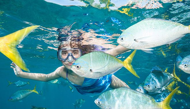 sunlover snorkelling 1