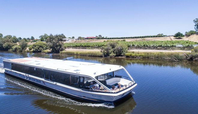 swan valley transfers 6