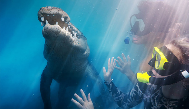 swim with the salties 002