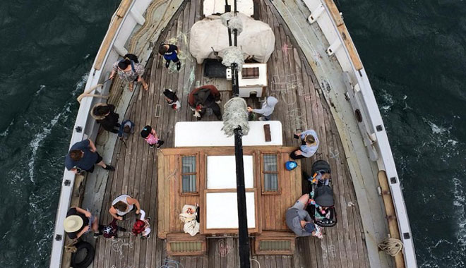 syd harbour lunch tallship 6