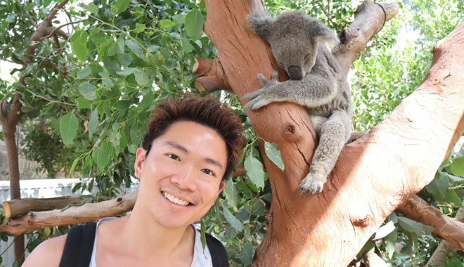 syd zoo koala experience