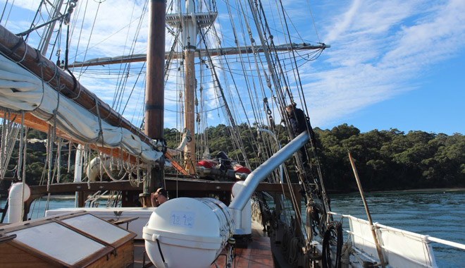 sydney harbour sail snooze3