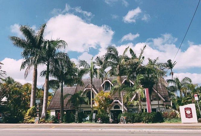 tamborine mountain 11 jpg