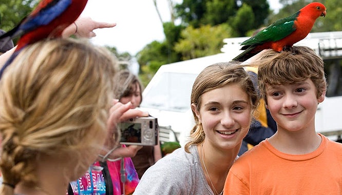 tamborine mountain 8 jpg