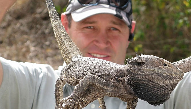 tamborine mountain 9 jpg