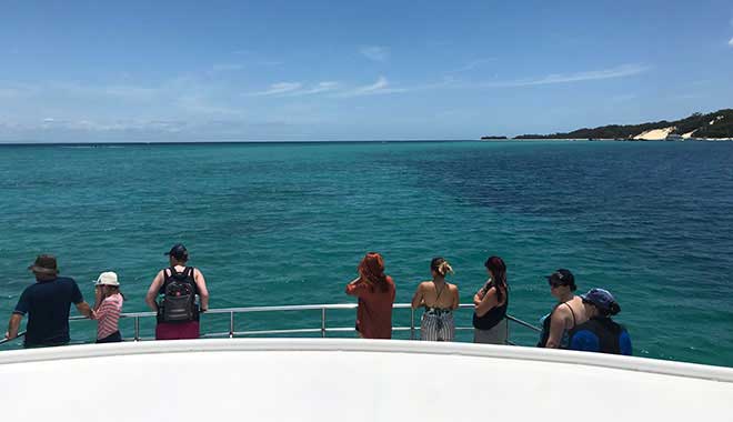 tangalooma dolphin watching 4