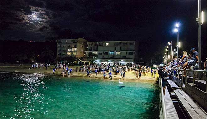 tangalooma dolphin watching png