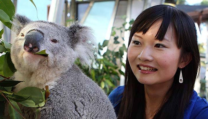 taronga zoo harbour cruise package 6 jpg